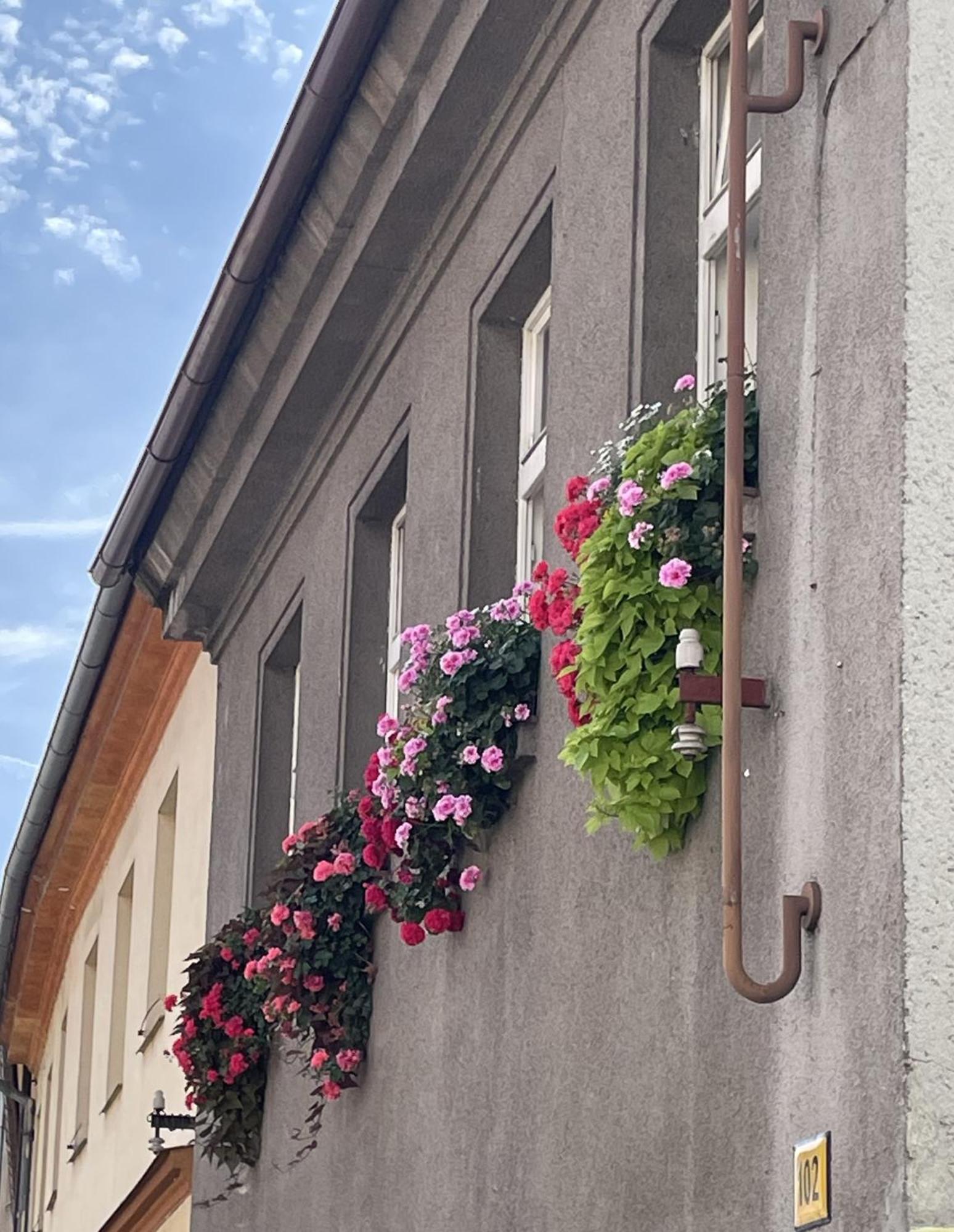Family Apartment Písek City Centre II. Exterior foto
